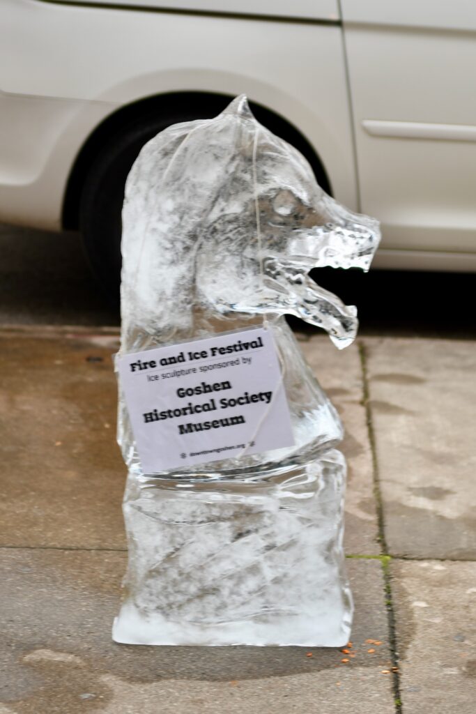 2020 Jan Fire & Ice Festival